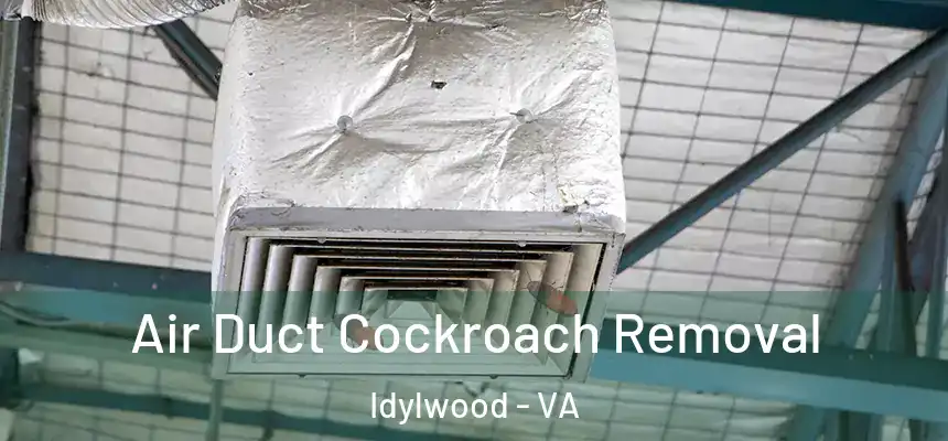  Air Duct Cockroach Removal Idylwood - VA