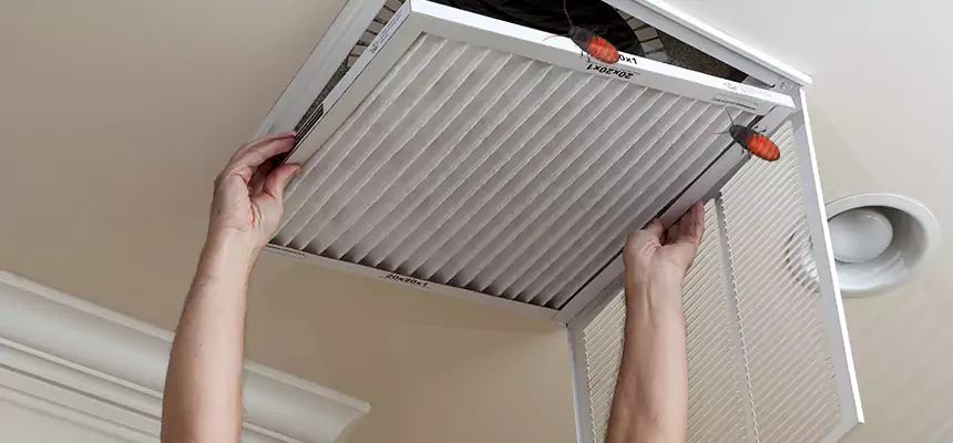 Preventive Cockroach-Proofing for Ducts in Idylwood