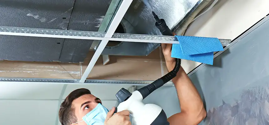 Our Air Duct Rodent Removal Services in Idylwood, VA