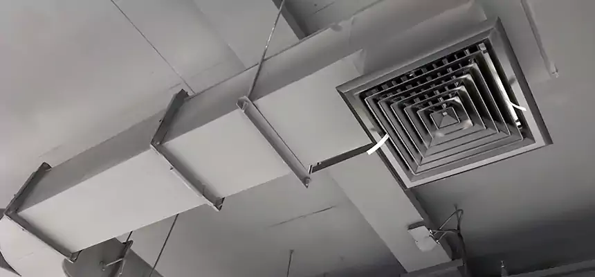 Restorative Allergy Relief Vent Cleaning – Coil, Blower & Housing Detail in Idylwood