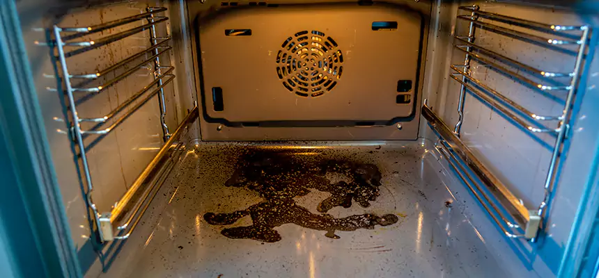 Our Dryer Vent Mold Cleaning Services in Idylwood, VA