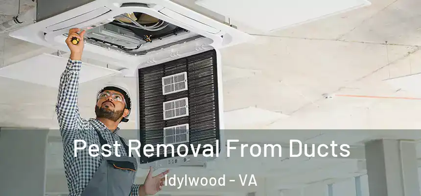  Pest Removal From Ducts Idylwood - VA