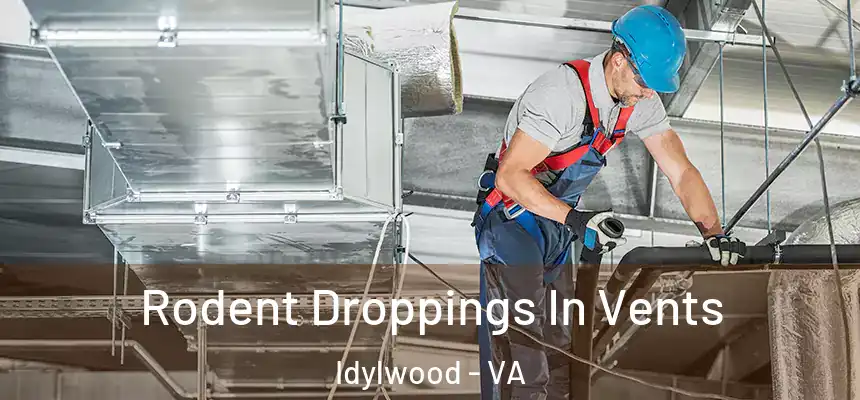  Rodent Droppings In Vents Idylwood - VA