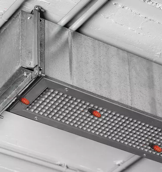 About Air Duct Cockroach Removal in Idylwood, VA
