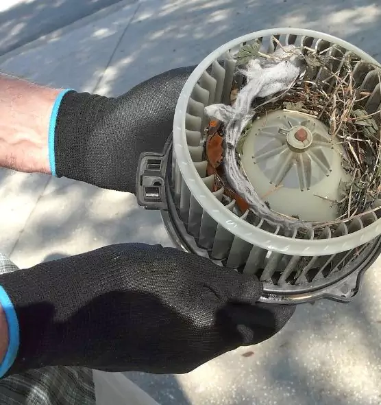 About Air Duct Mice Removal in Idylwood, VA