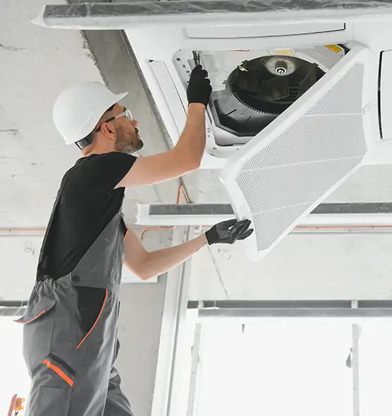 About Air Duct Rodent Removal in Idylwood, VA