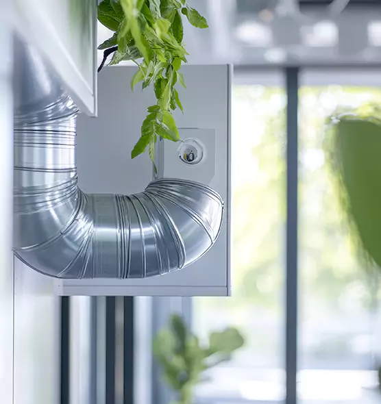 Professional Eco-Safe Dryer Vent Cleaning in Idylwood, VA