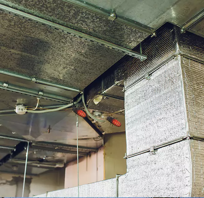 Why Homeowners & Businesses Trust Us in Idylwood, VA?