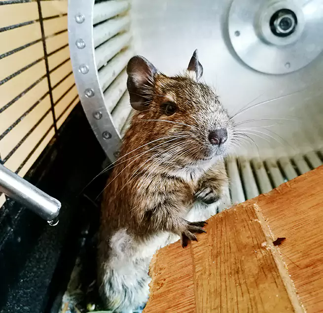 Why Homeowners & Businesses Trust Us Idylwood, VA?