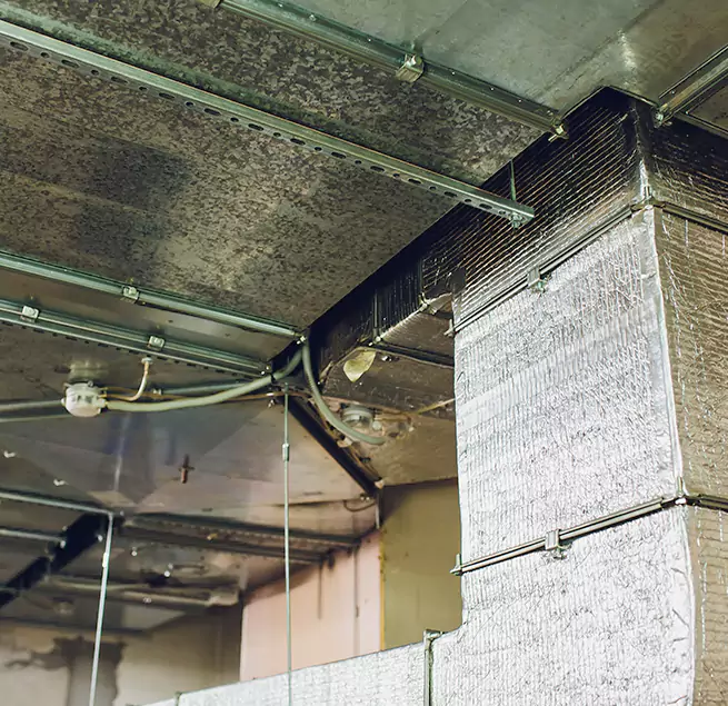 Why Homeowners & Businesses Trust Us in Idylwood, VA?